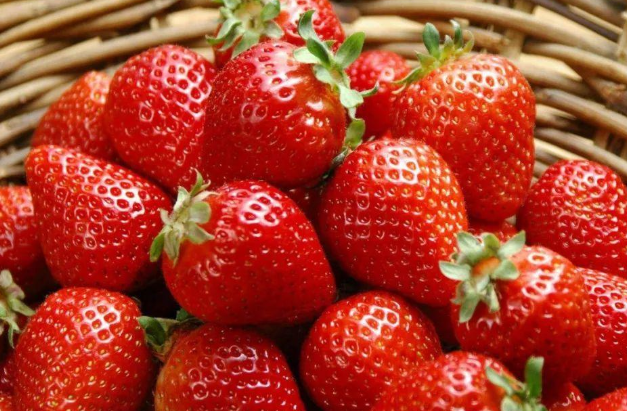 台州草莓基地在哪里-多少钱 2021年4月台州周末活动汇总