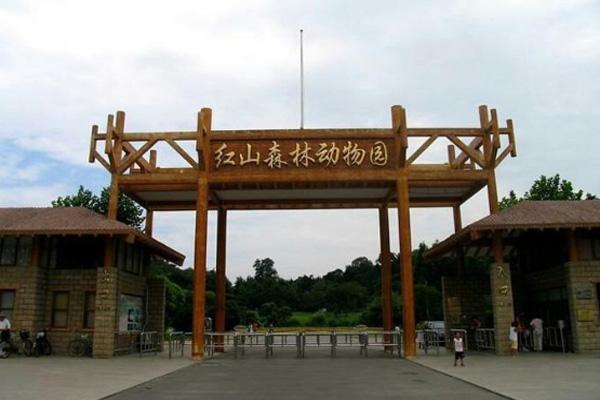 2021南京红山森林动物园志愿者有哪些要求