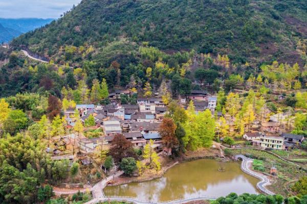 江村門票多少錢-門票優惠政策