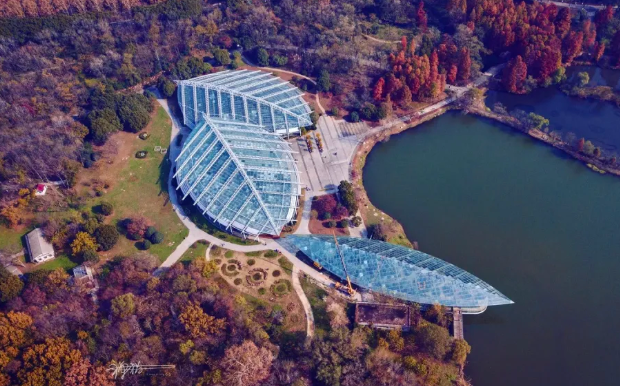 世界地球日南京中山植物园免费开放及预约指南 2021南京中山植物园免费开放时间