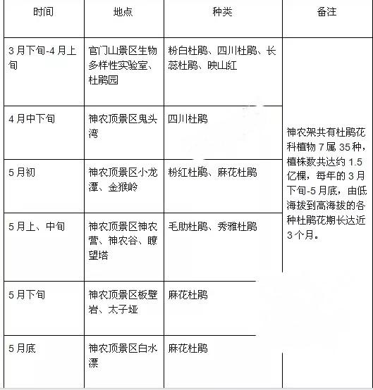 2021神农架杜鹃花什么时候开