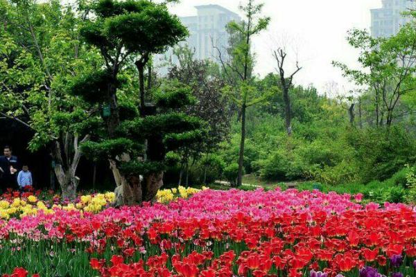 2021年4月22日汉中植物园正式开园