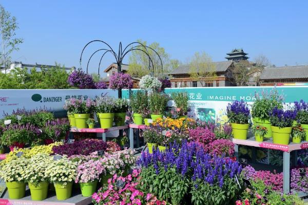 2021北京国际花园节购票预约方式 北京国际花园节游玩攻略