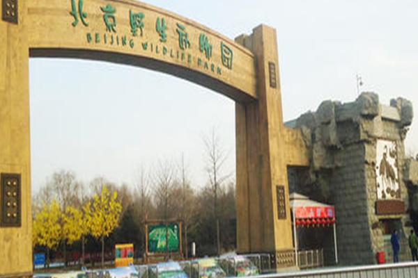 2021北京野生动物园五一开放时间-门票多少钱