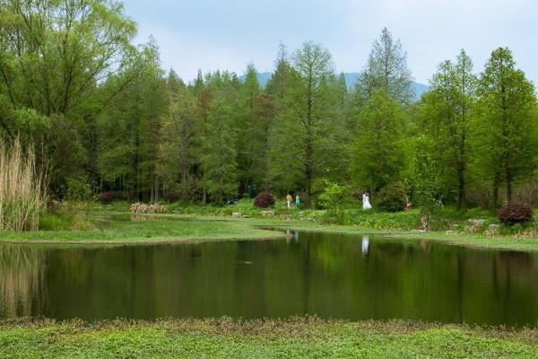 2021南京中山植物园赏花攻略