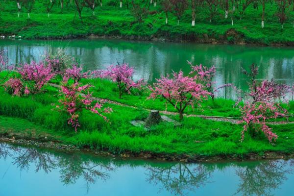 桃花源景区有哪些景点