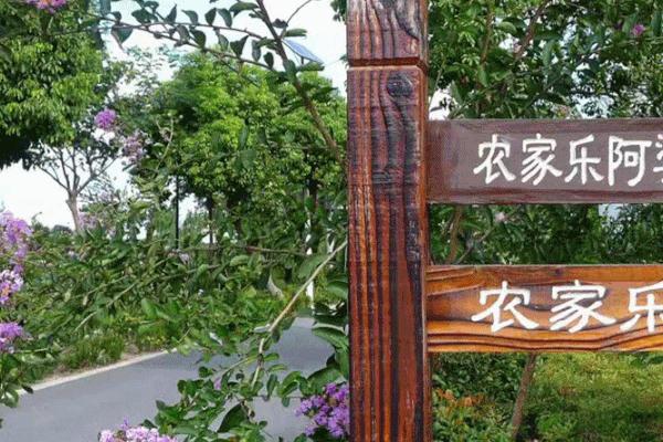 2021上海青浦周边农家乐有哪些 乡村旅游景点推荐