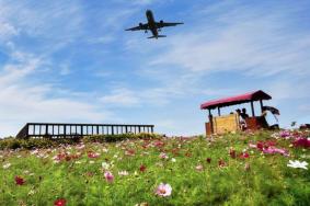 2021成都空港花田门票多少钱一张 母亲节门票优惠政策