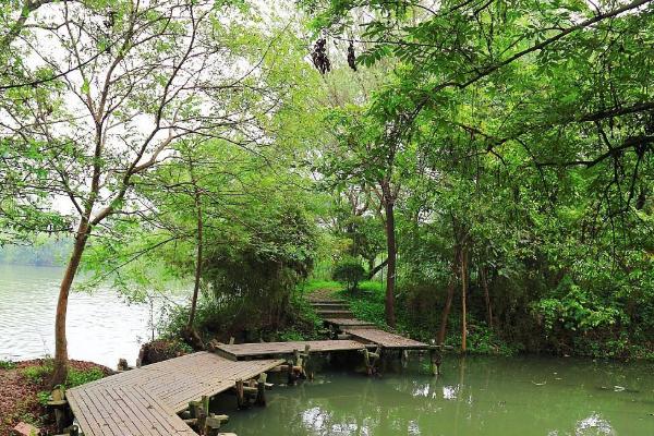 2021端午节杭州西溪湿地门票预约-游玩攻略