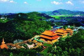 杨岐山在哪里怎么去-门票多少钱