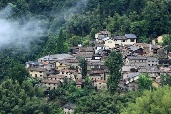 2021西坑村旅游攻略
西坑村门票交通天气