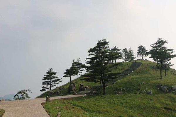 宜昌百里荒景区门票代价 百里荒景区好玩吗