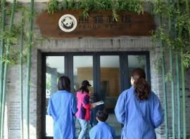 成都大熊猫繁育研究基地适合带小孩子去吗