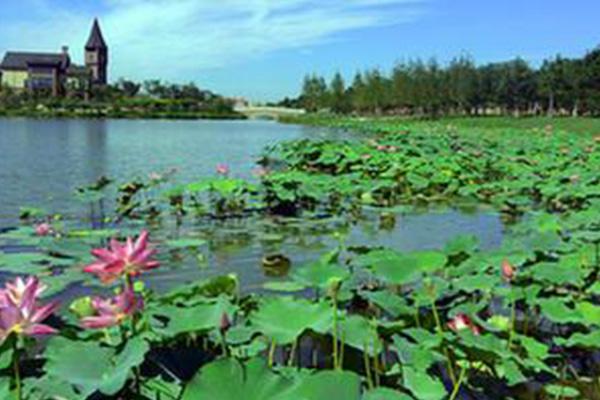 天津南湖公園需要門票嗎-景點介紹