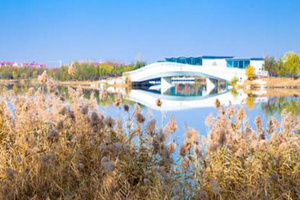 天津南湖公園需要門票嗎-景點介紹