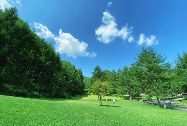 德陽周邊森林公園推薦-地址及交通指南