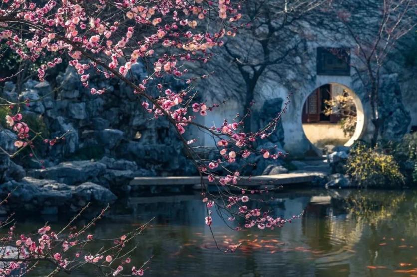 蘇州旅游 蘇州吃住去哪里-小吃-餐廳-住宿