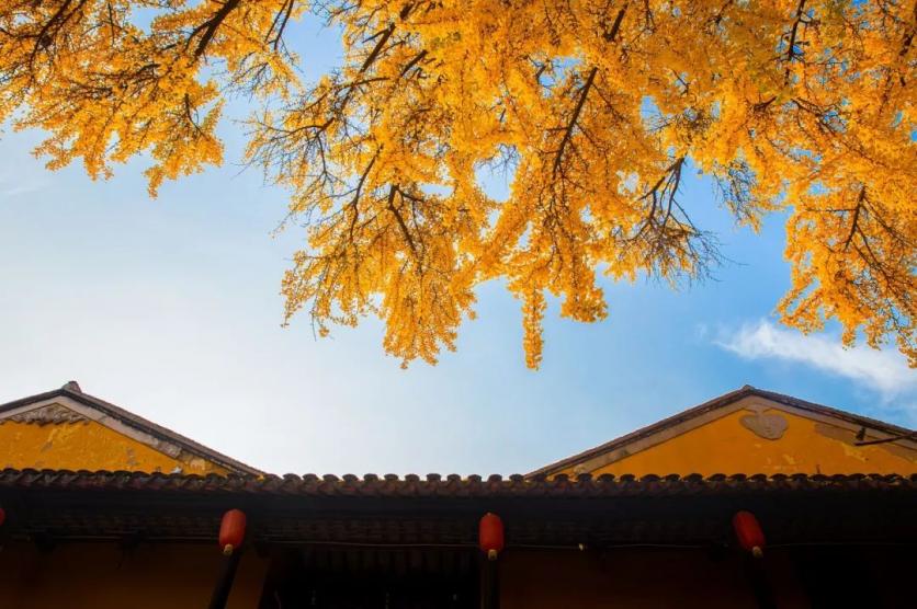 蘇州旅游 蘇州吃住去哪里-小吃-餐廳-住宿