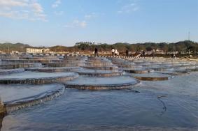 浏阳小河乡鱼鱗坝在哪
