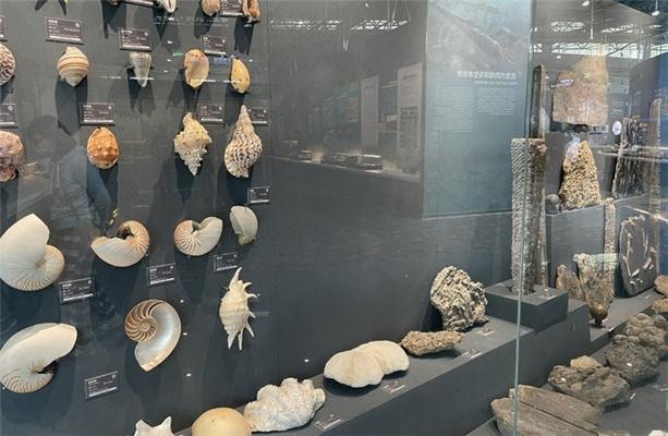 2021南京古生物博物館開放時間及門票游玩攻略