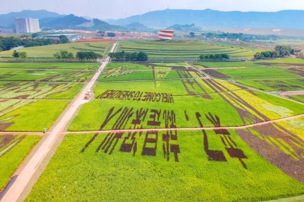 2021深圳端午節活動匯總