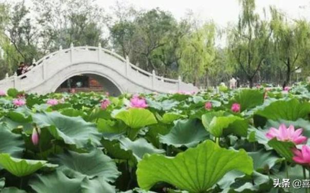 扬州景点介绍 扬州旅游景点