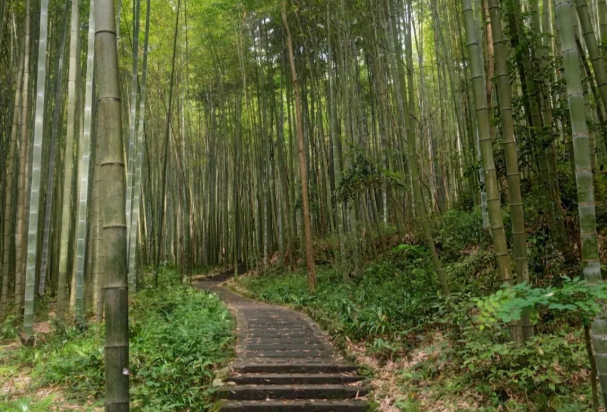 四川避暑胜地有哪些