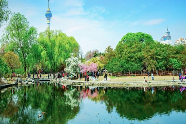 2021端午节北京玉渊潭公园有什么活动