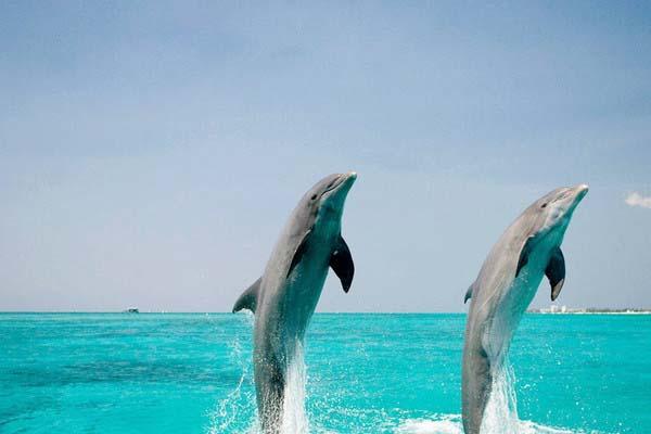 全球最贵的海岛旅行 马尔代夫都逊色