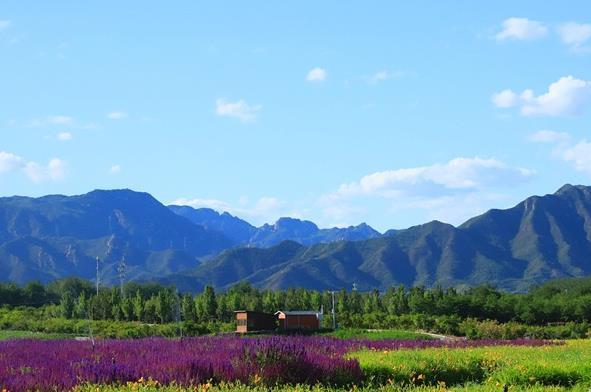 十三陵七孔桥花海停车方便吗