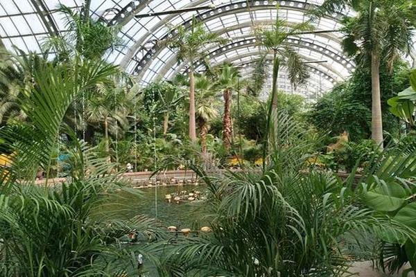 2021天津热带植物园游玩攻略-时间-门票