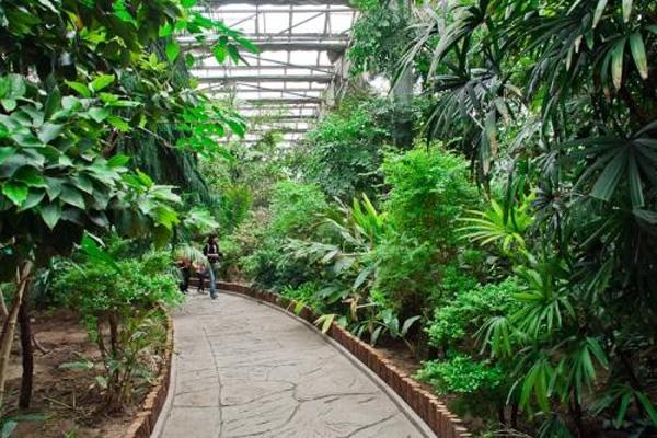 2021天津热带植物园游玩攻略-时间-门票