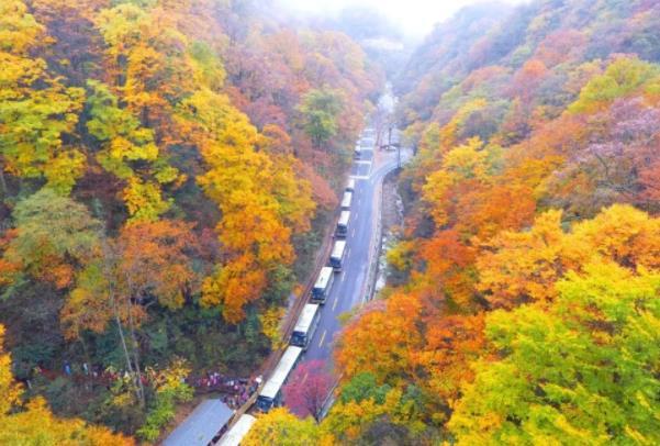 四川巴中市旅游景点有哪些  四川巴中旅游必去的景点