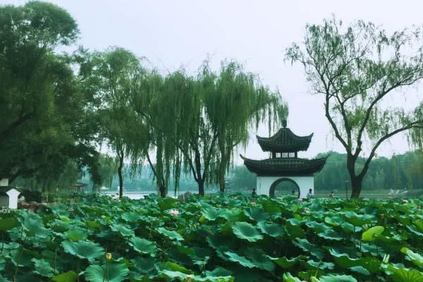 易烊千玺vlog同款北京一日游旅游路线