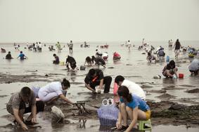 <strong>2021青岛金沙海洋牧场赶海时间-地址-交通</strong>