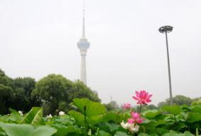玉渊潭公园2021年6月19日延后开园时间