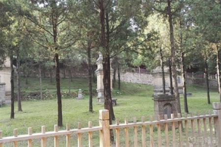 2022郑州塔林旅游攻略 - 门票 - 地址