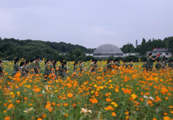 湖南省植物园现在可以看什么花