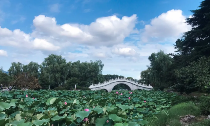 2021玄武湖并蒂莲在哪个位置 南京哪里有荷花池