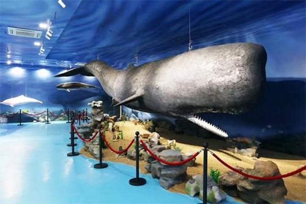 2021惠州抹香鲸主题馆有哪些展厅  惠州抹香鲸主题馆地址