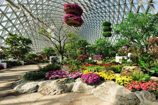 上海辰山植物园门票价格-近期展览