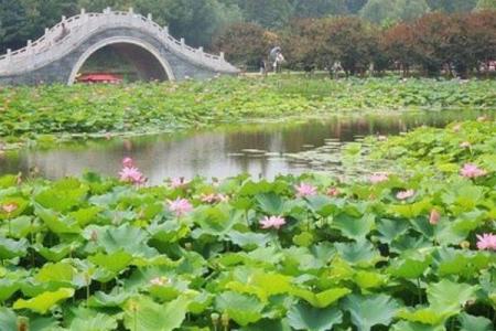 2022驻马店森林公园地址门票 - 景区介绍 - 攻略