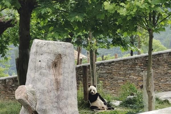 耿达镇旅游景点介绍-门票价格