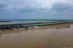 2021盐城东台条子泥湿地门票-地址