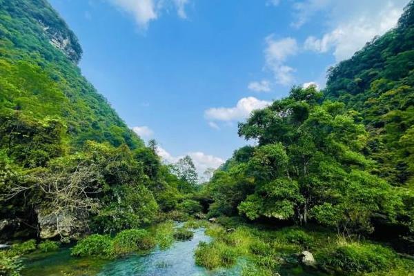 2022荔波茂兰自然保护区游玩攻略 - 门票 - 地址