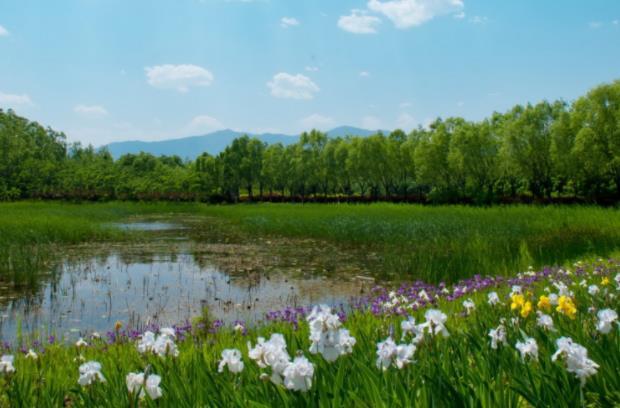 北京翠湖国家湿地公园怎么样 翠湖国家湿地公园好玩吗