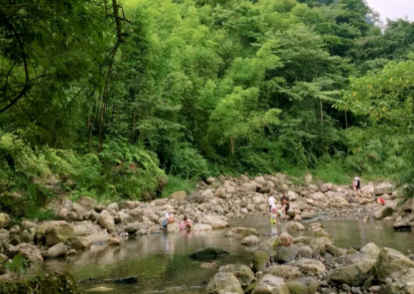 成皆躲寒耍水最好天面-门票天面及景面先容