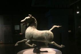 2021兰州市博物馆夜间开放时间