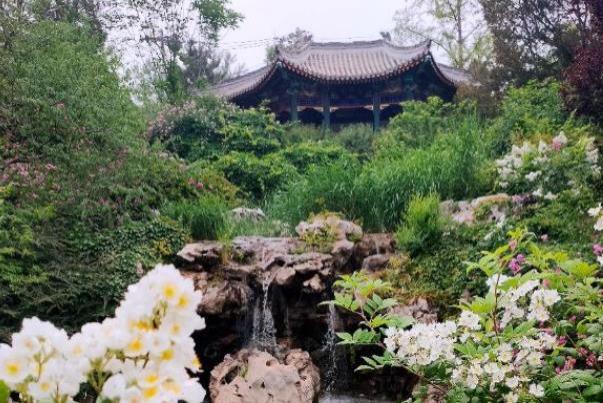 2021暑假中国园林博物馆活动