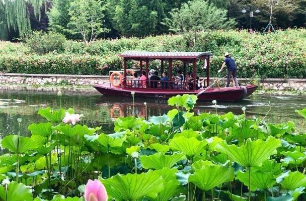 2021暑假北京紫竹院公园活动时间-内容